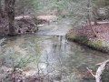 DSCN0262