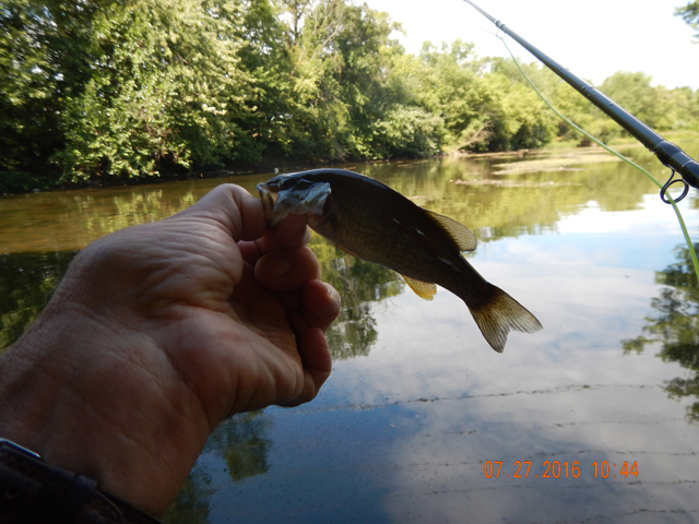 DSCN1566.jpg -                                