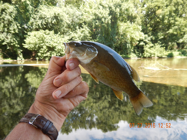 DSCN1568.jpg -                                