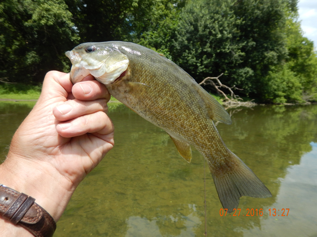 DSCN1572.jpg -                                