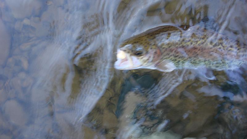 DSC01774.JPG