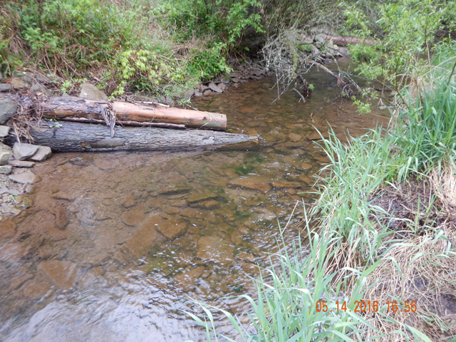 DSCN1257.jpg -                                Improvements made by TU.  The water is deeper than it looks.