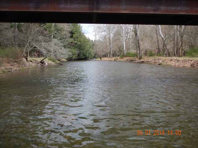 DSCN0534.jpg -                                Cross Fork Creek a bit high.