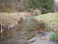 DSCN0549