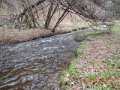 DSCN0554