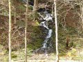 DSCN0555
