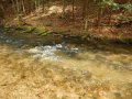 DSCN0584