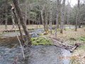 DSCN0591