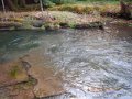 DSCN0593
