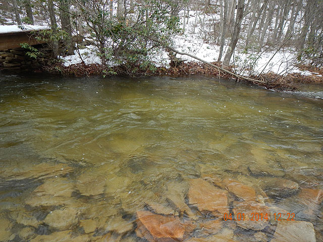 DSCN0444.jpg -                                This is were the fish came from.  Stream looked bank full.