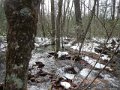 DSCN0438