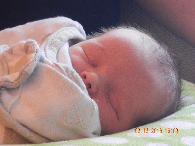 DSCN2952.JPG