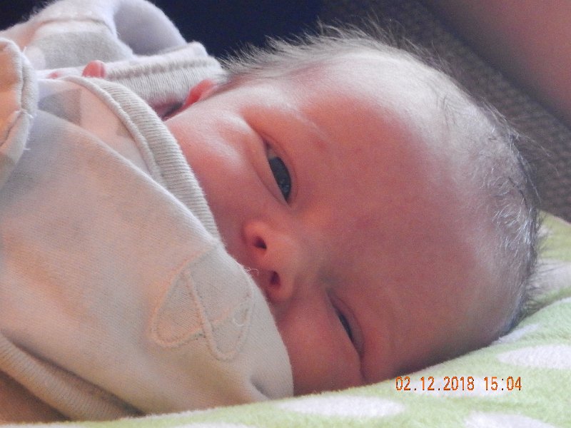 DSCN2955.JPG