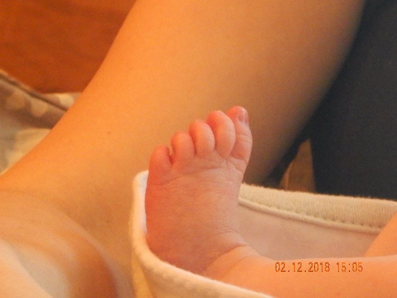 DSCN2960.JPG