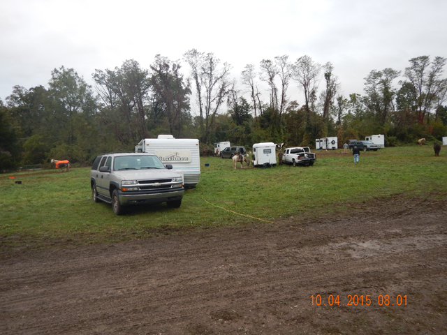 DSCN0658.jpg -                                Grounds were a bit muddy