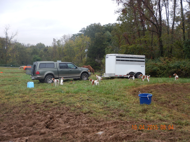 DSCN0663.jpg -                                Most folks had more than one dog.