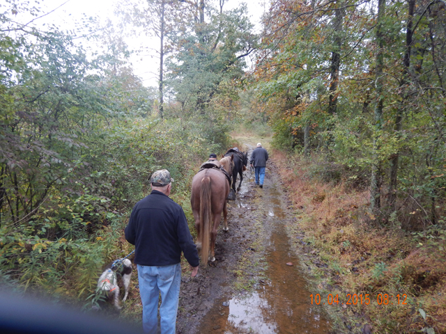 DSCN0668.jpg -                                Trying to avoid the deeper puddles.