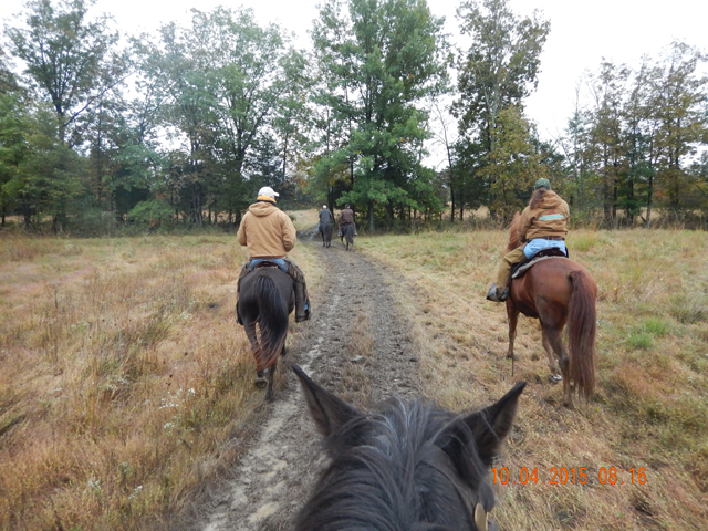 DSCN0672.jpg -                                On the course.  Handlers in front with two judges just behind.