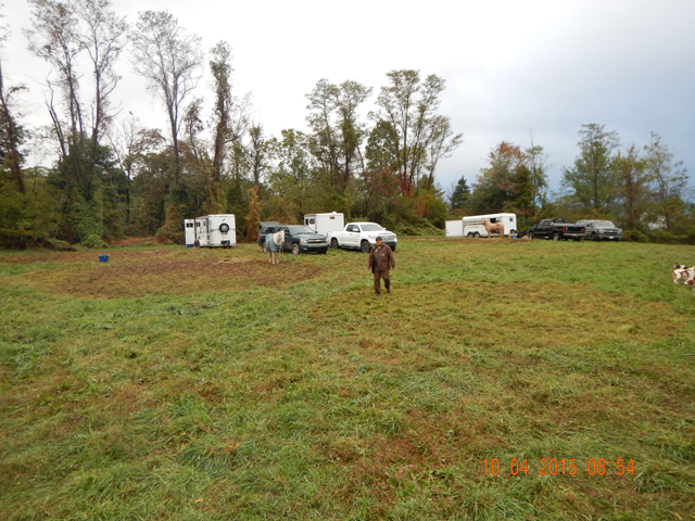 DSCN0679.jpg -                                Horses seem to make 'crop circles'.