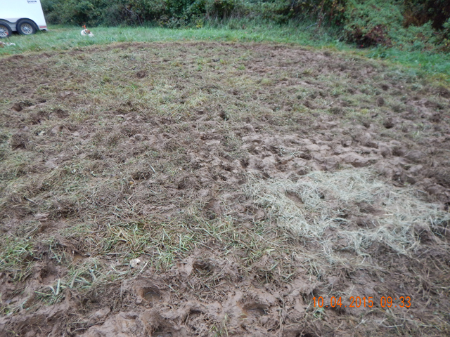 DSCN0681.jpg -                                Here's the mud we had to traverse when getting to the horses.