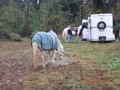 DSCN0662