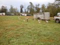 DSCN0678