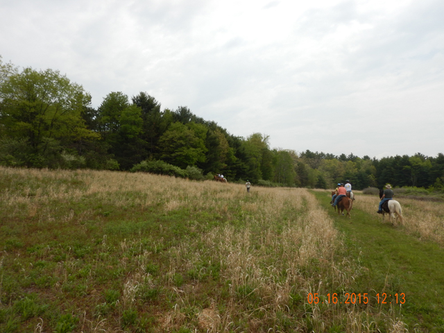 DSCN0326.jpg -                                