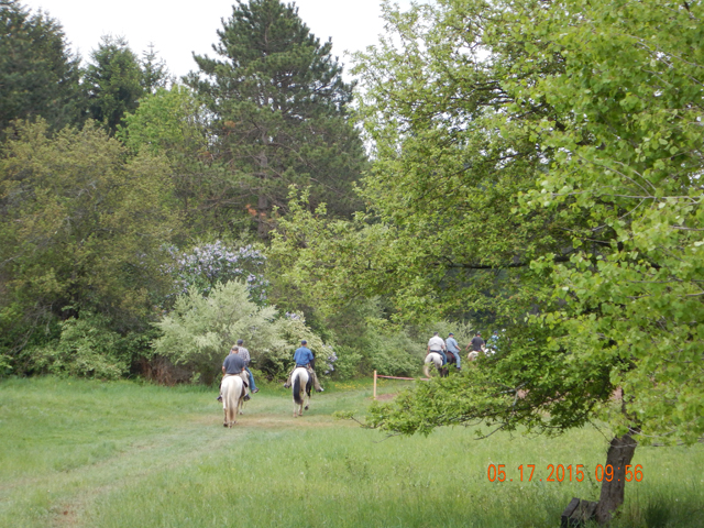 DSCN0334.jpg -                                