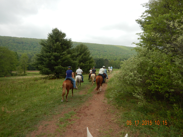 DSCN0337.jpg -                                