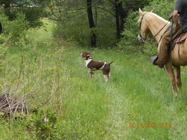 DSCN0339.jpg -                                