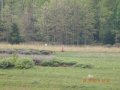 DSCN0324