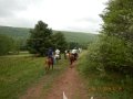 DSCN0337
