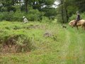 DSCN0340