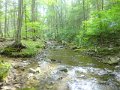 DSC01769