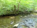 DSC01776