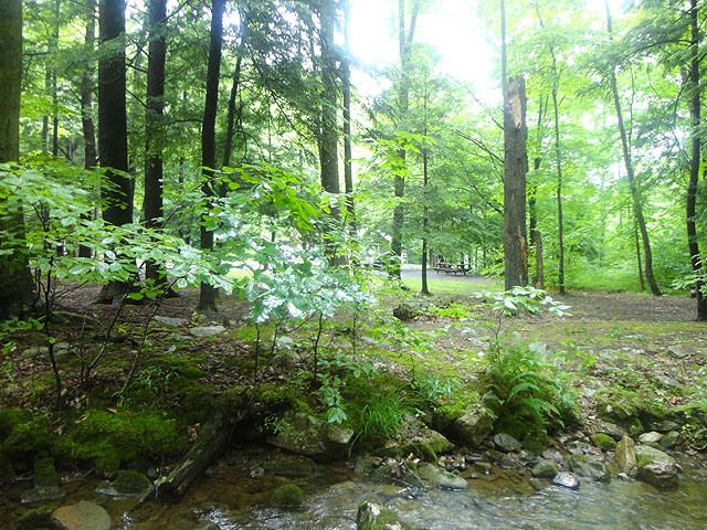 DSC01622.jpg -                                Tried to show how close the stream was to the RV.