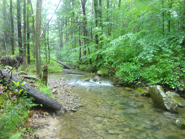DSC01624.jpg -                                Fowlers Run 1 