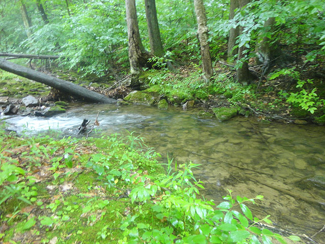 DSC01626.jpg -                                Fowlers Run 2
