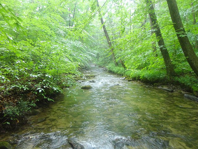 DSC01629.jpg -                                Fowlers Run 3