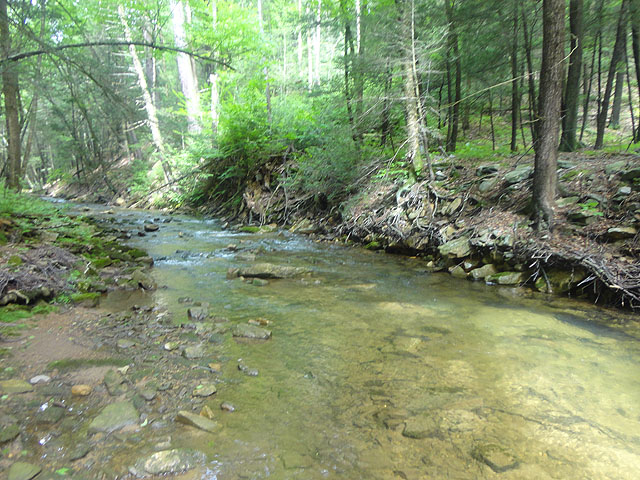 DSC01651.jpg -                               Laurel Run 10