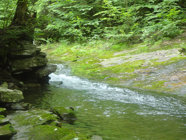 DSC01656.jpg -                                Laurel Run 13