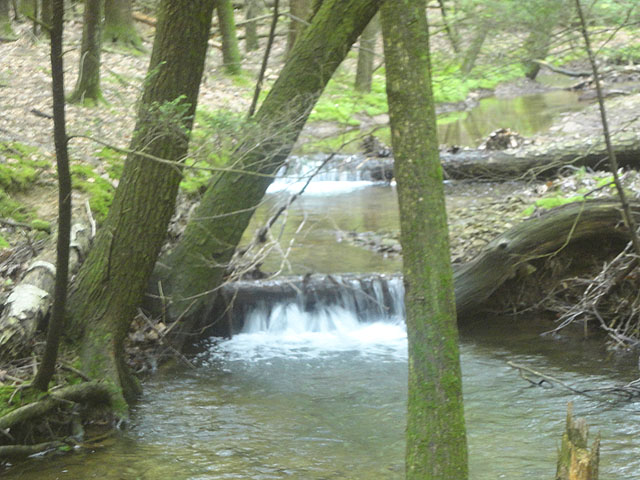 DSC01665.jpg -                                 Laurel Run - Up Stream 3
