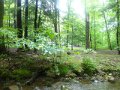 DSC01622