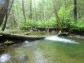 DSC01637