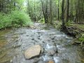DSC01644