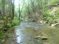 DSC01648