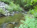 DSC01661
