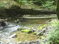 DSC01664