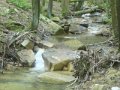 DSC01670