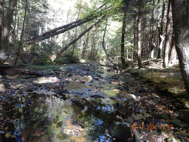 image005.jpg -                         Just a view of how bad it really is.  Most of these rocks are hidden during normal flows.       